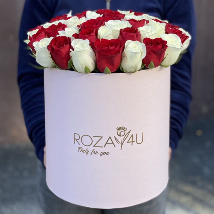 51 роза красно-белый микс коробке